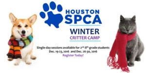 winter-camp-graphic-2016-1