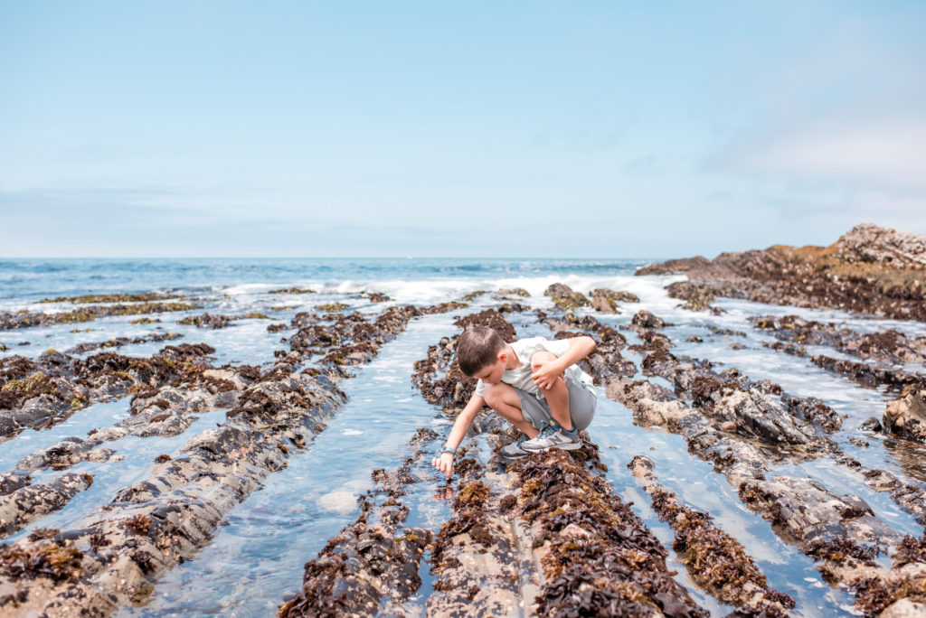 Exploring Tide Pools at Montaña De Oro State Park, Los Osos, California by Relics of Rainbows Photo