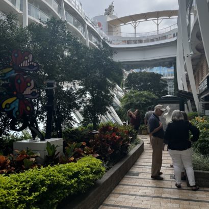 Stolling through Central Park